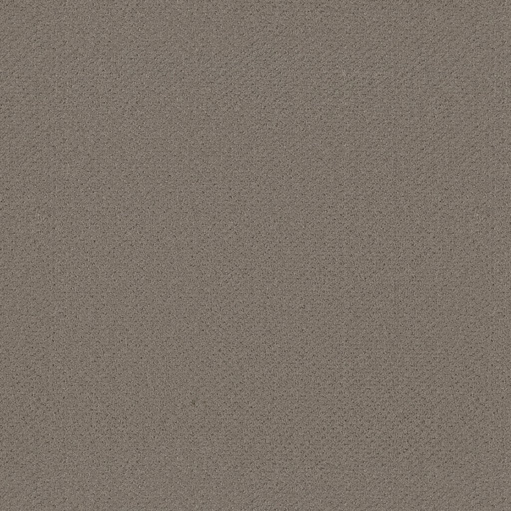 Shaw Floors Genesis - Gray Flannel