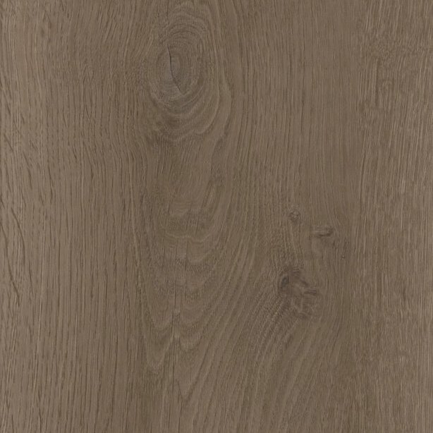 Shaw Floors Aspire Natural Bevel - Frontier Brown