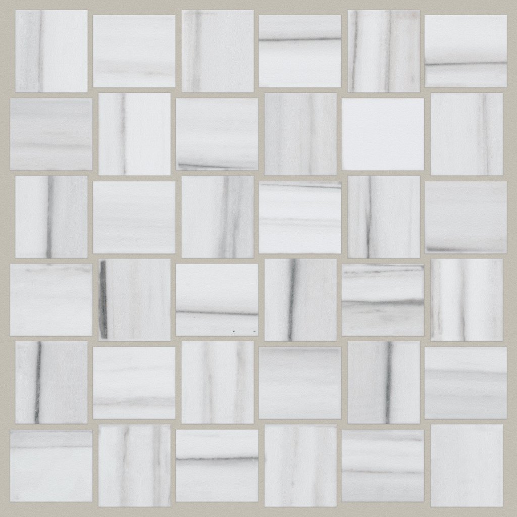 Shaw Floors VISION BASKETWEAVE MOSAIC MATTE - Zebrino