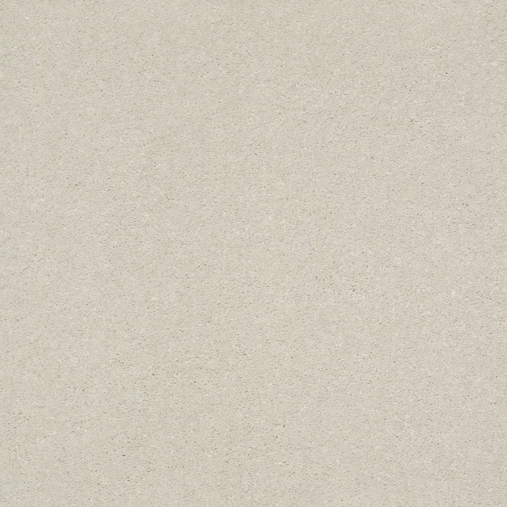 Shaw Floors WELL GROUNDED II 15 - Minimalist