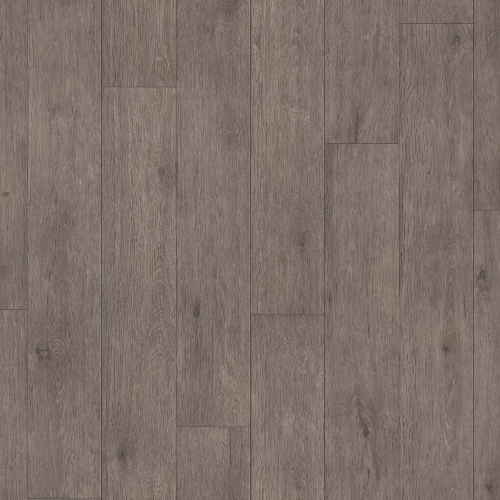 Shaw Floors PLATEAU - Pathfinder