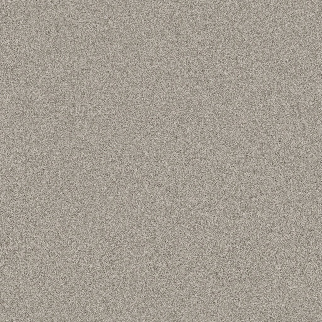 Shaw Floors Harmonious I - Baltic Stone