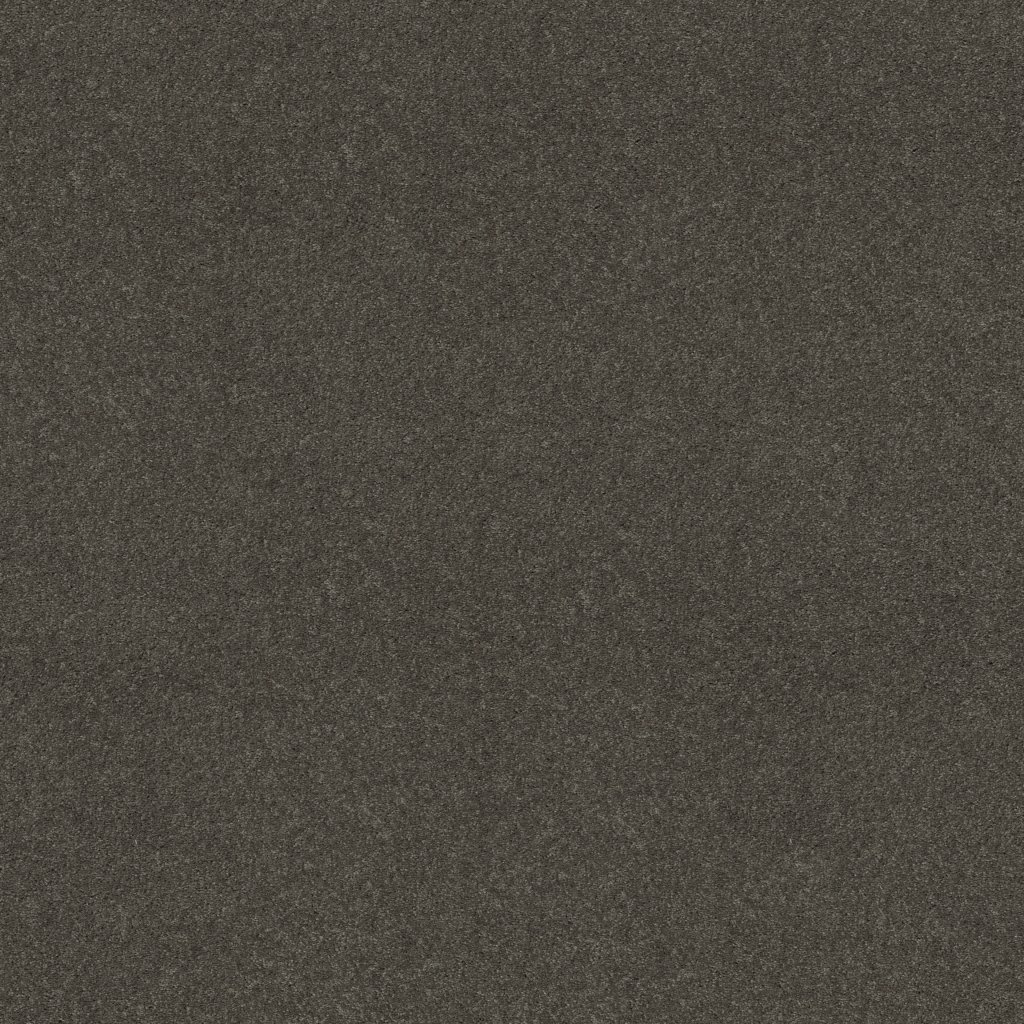 Shaw Floors Well Played I 15' - Charcoal
