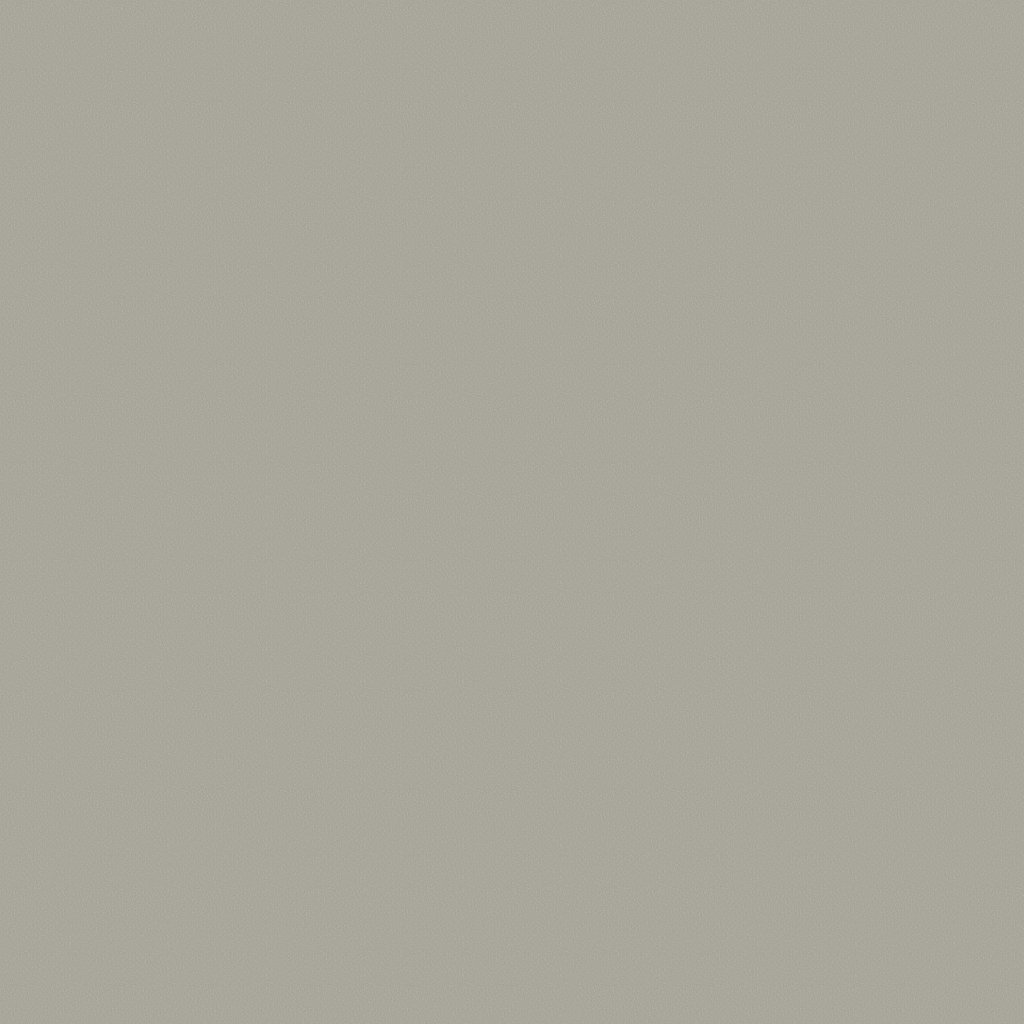 Shaw Floors Clever Choice - Sterling