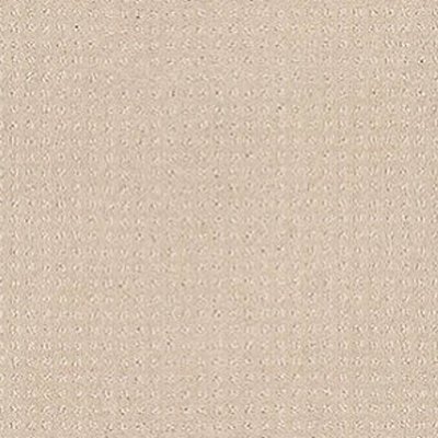 Shaw Floors My Choice Pattern - Bare Essence