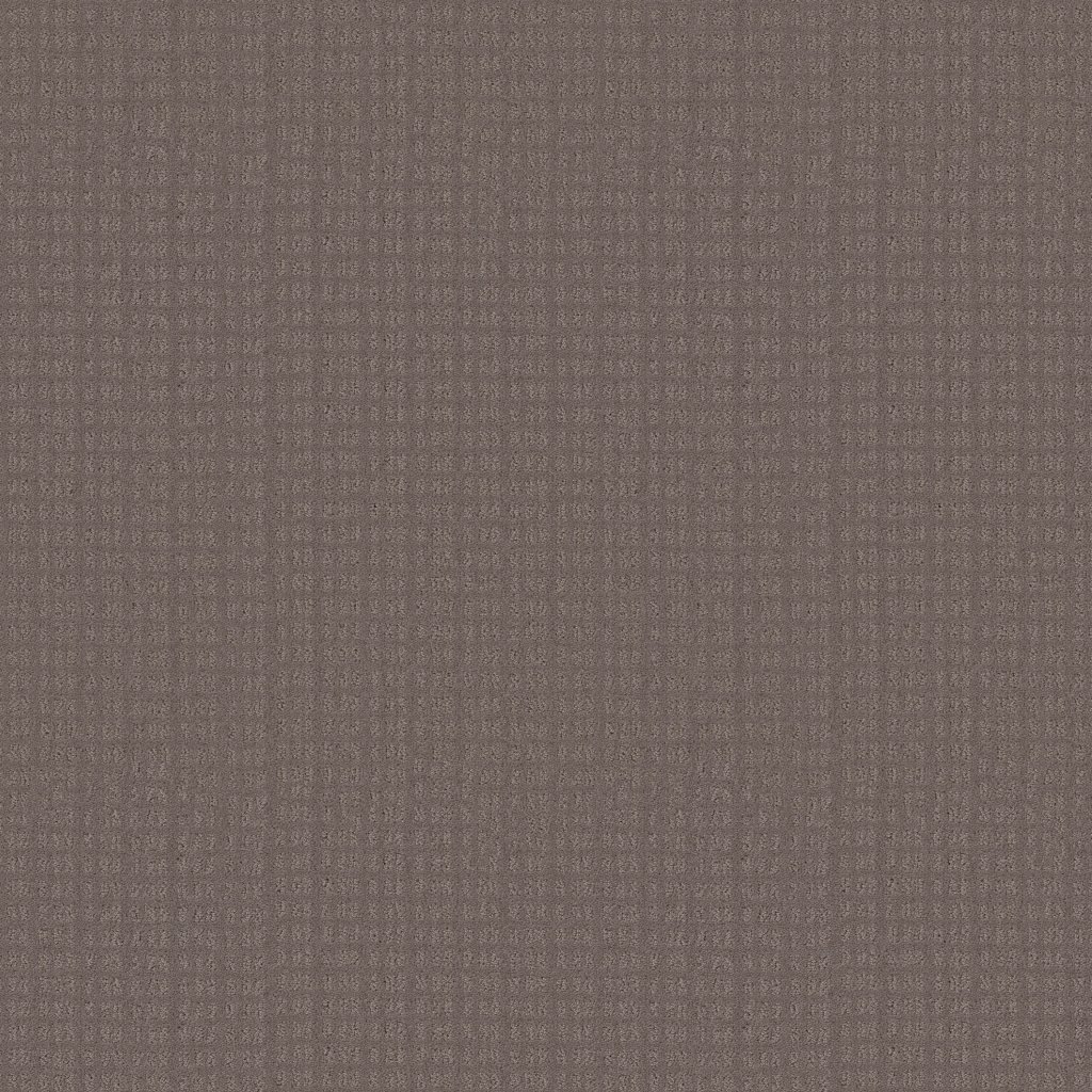 Shaw Floors Essential Now - Ridgeview