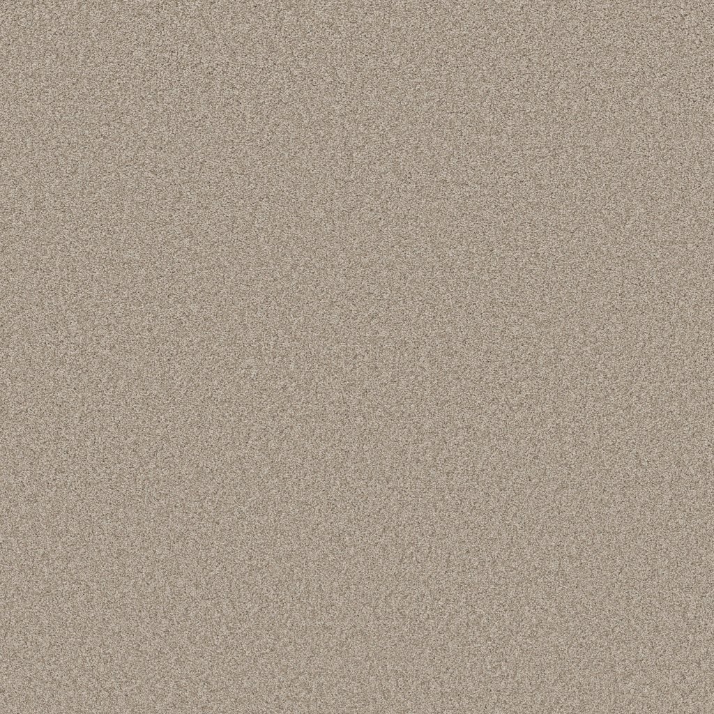 Shaw Floors Del Rio I - Fossil Path