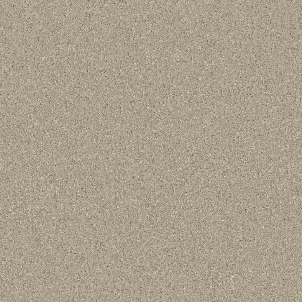 Shaw Floors Crafted Tone - Chateau