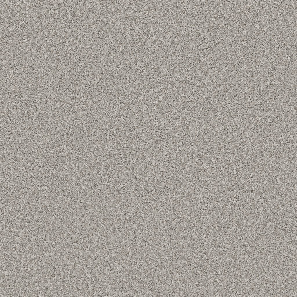 Shaw Floors Color Flair - Sterling Haze