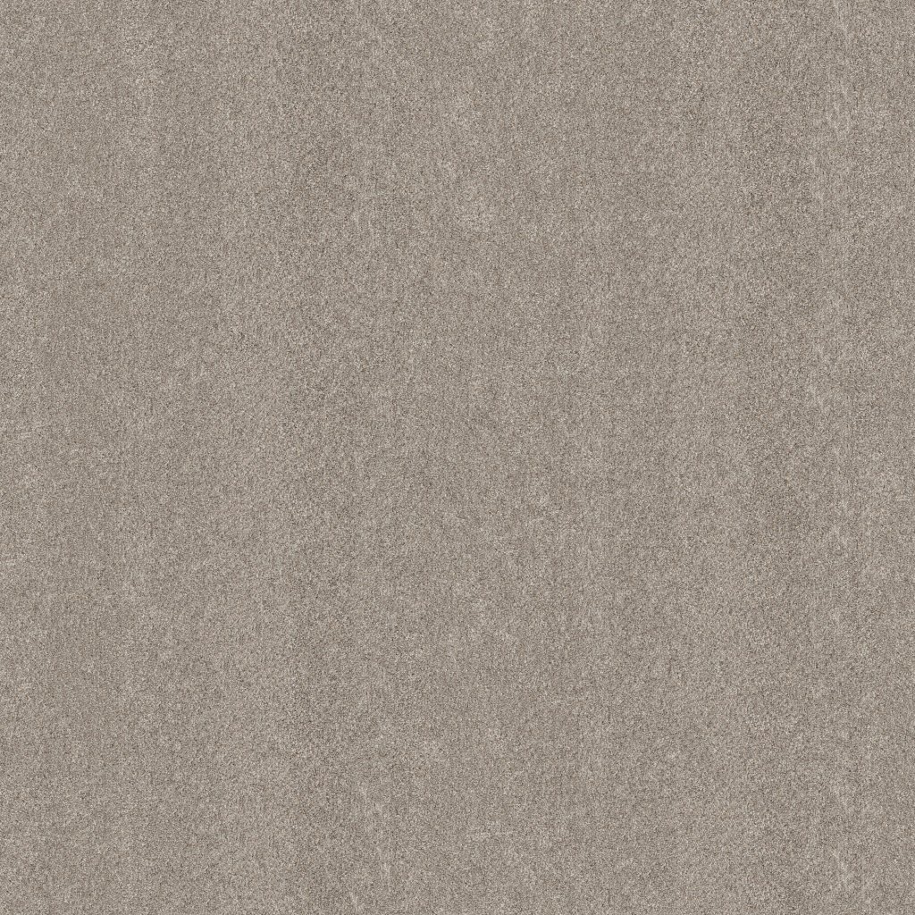 Shaw Floors Blended Touch II - Pebble Stone