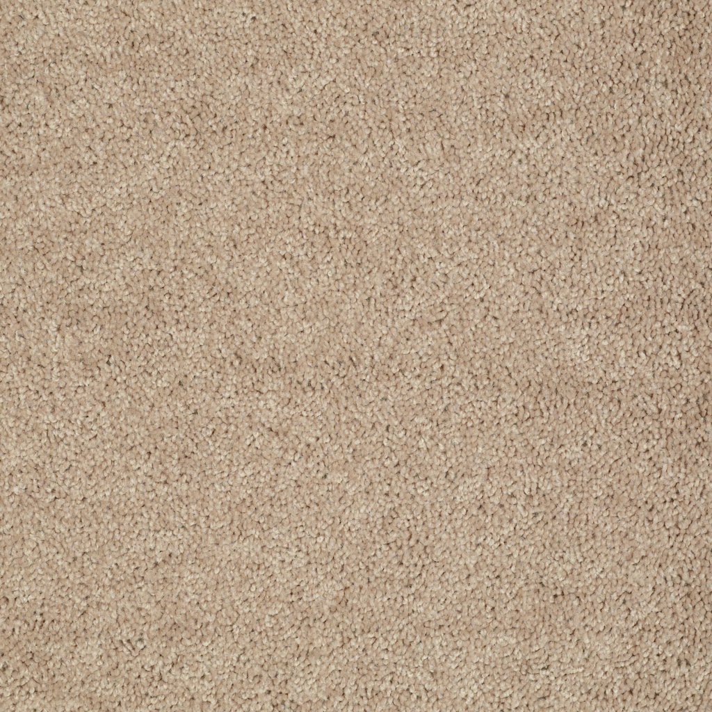 Shaw Floors All Star Weekend I 12' - Tassel
