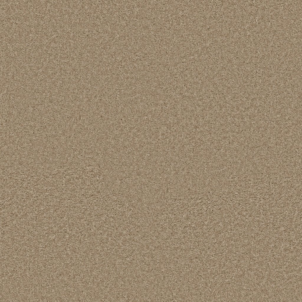 Shaw Floors Vitalize (S) 12' - Dusty Trail