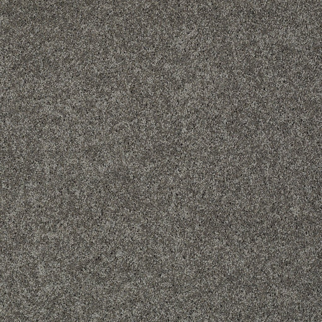 Shaw Floors Inspired By Ii - Graphite