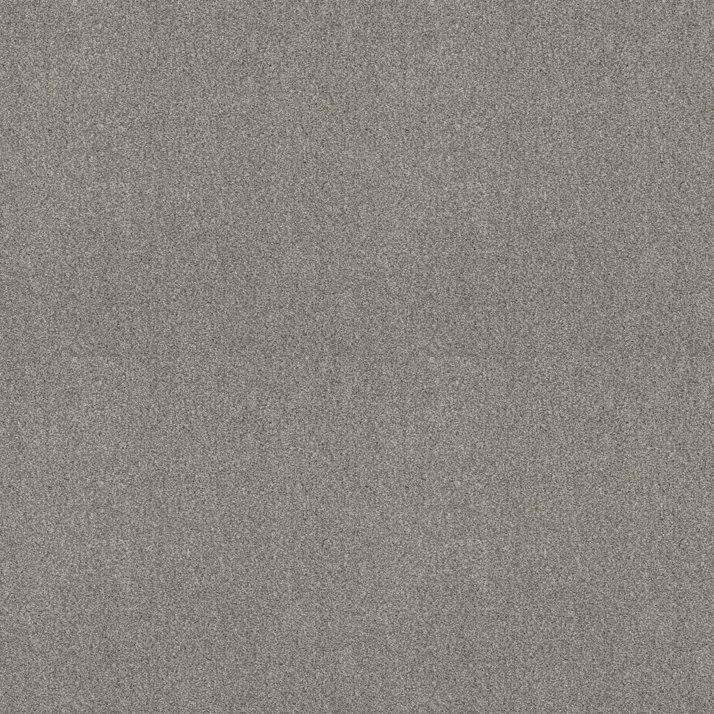 Shaw Floors Tonal Comfort I - Warm Blanket