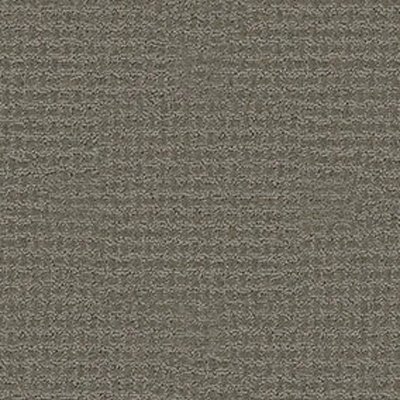 Shaw Floors Propel - Pewter
