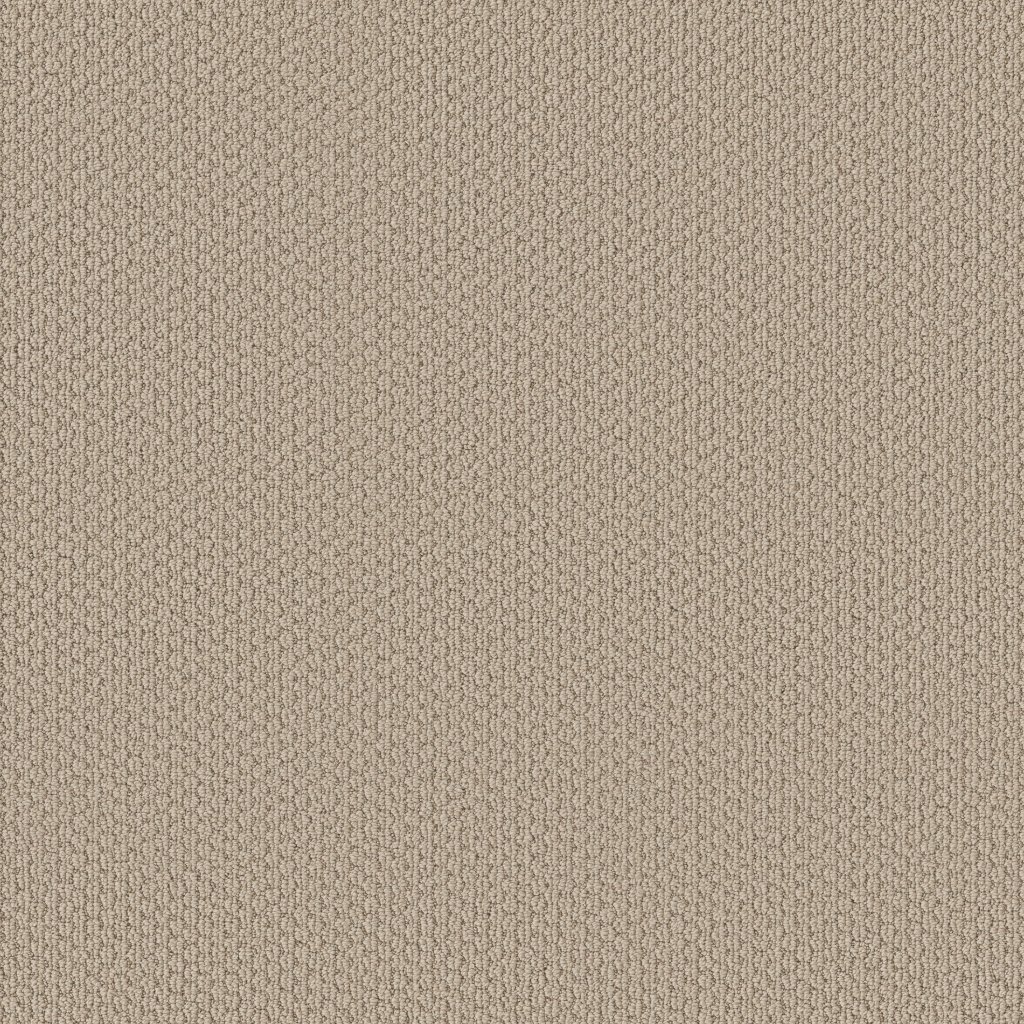 Shaw Floors Cathedral Hill II - Timeless