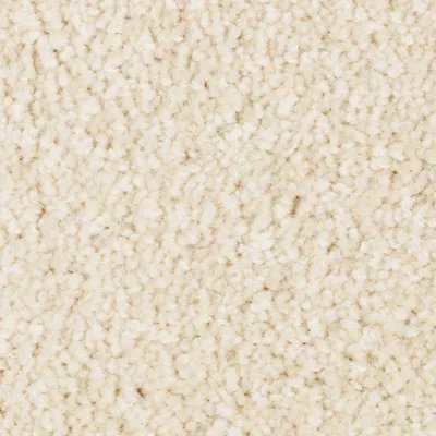 Mohawk Elegant Appeal I - Fleece