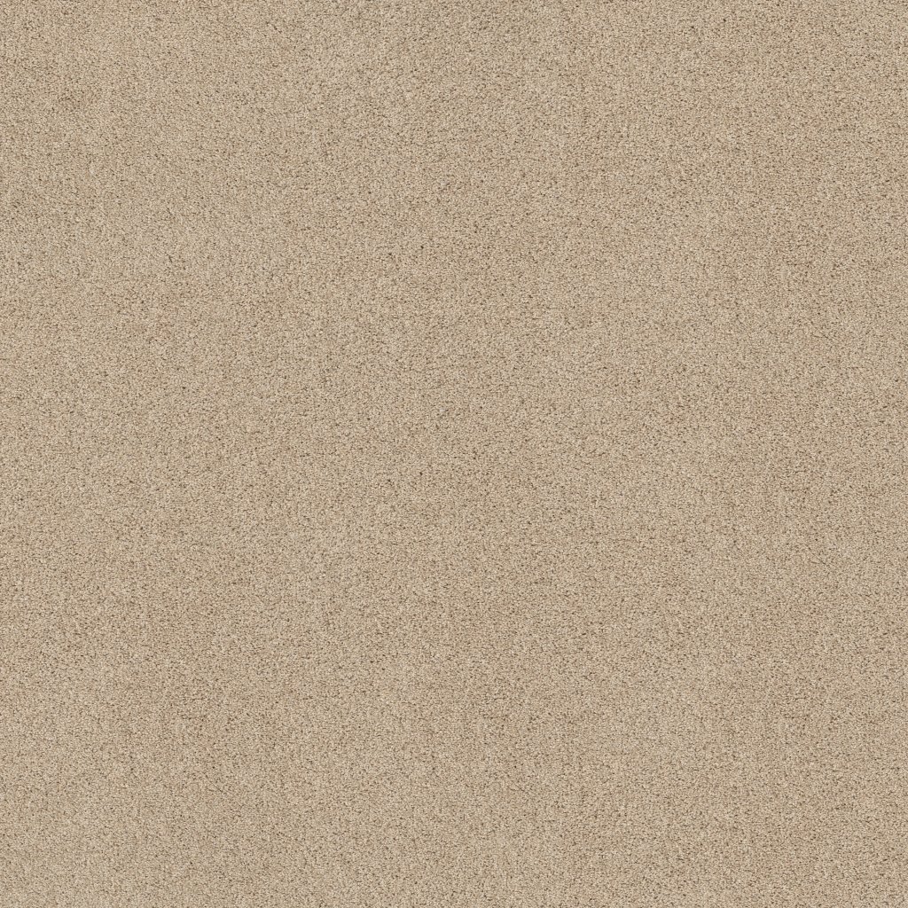Shaw Floors Always Mine - Delicate