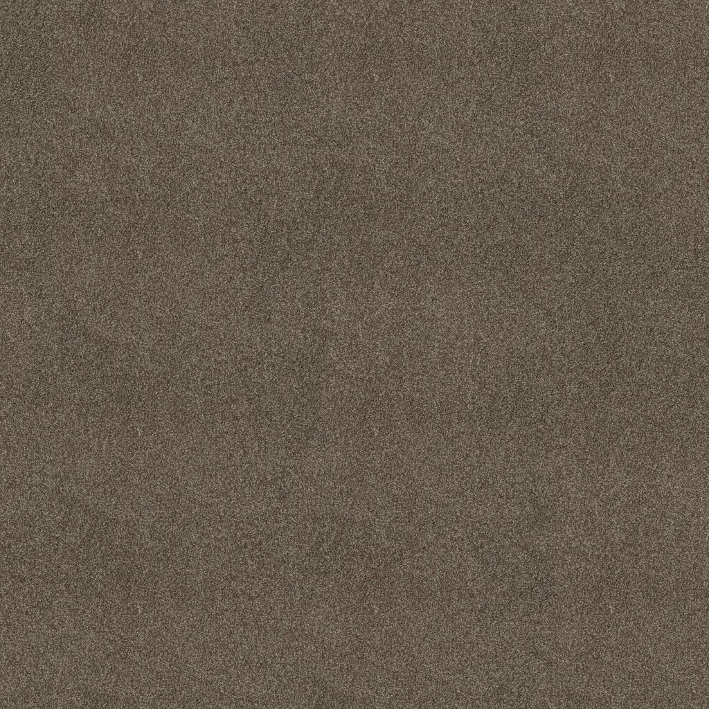 Shaw Floors YOU KNOW IT - Saddle