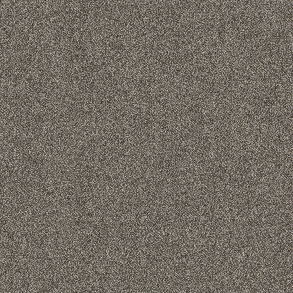Shaw Floors Truspirit I - Cobble Drive