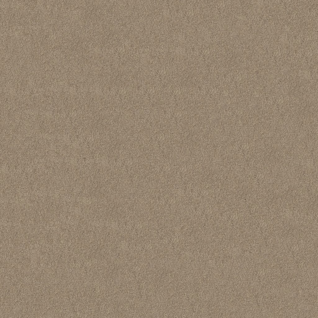 Shaw Floors My Destination III - Latte