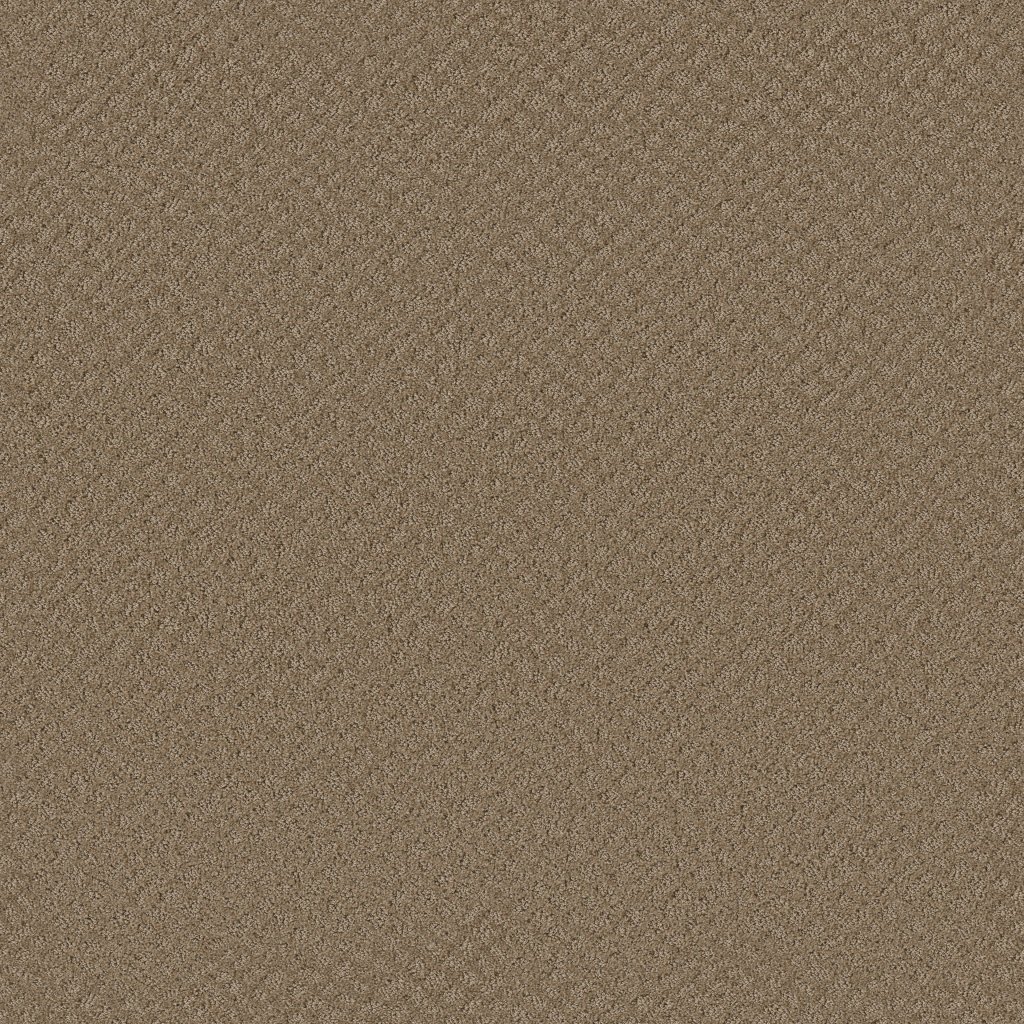 Shaw Floors Chic Shades - Raw Wood