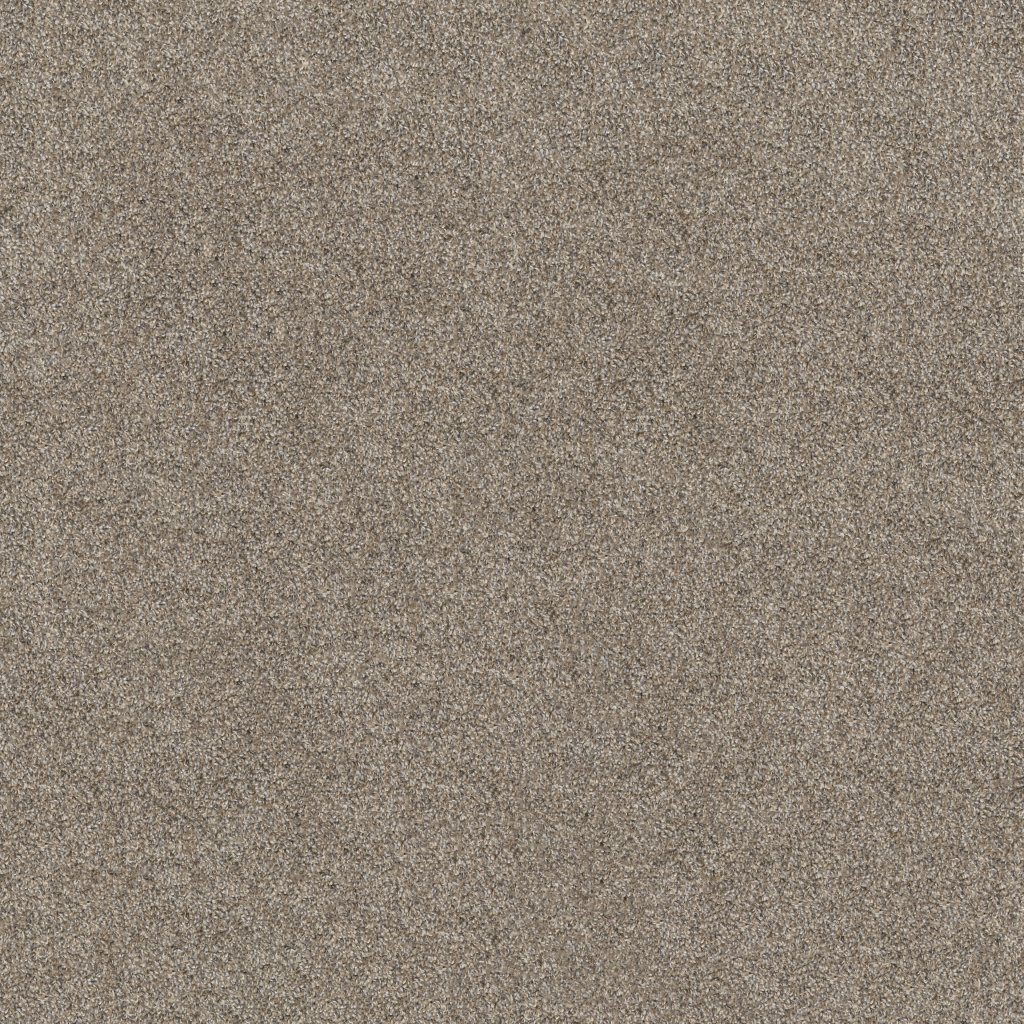 Shaw Floors Soft Effervescence - Nutria