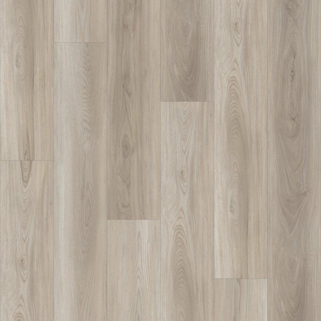 Shaw Floors Paladin Plus - Lighthouse