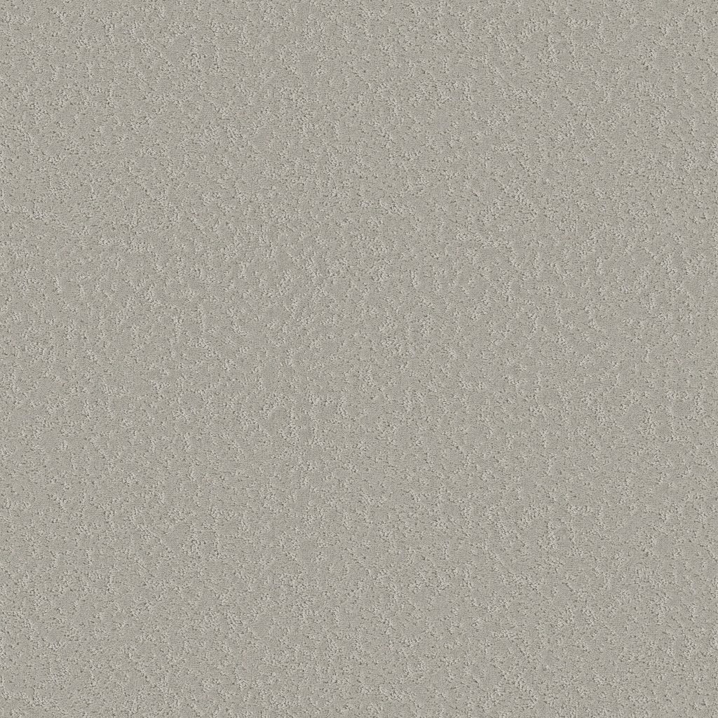 Shaw Floors Clever Choice - Sterling