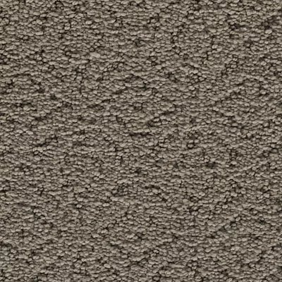 Mohawk Exquisite Charm - Moonlit Grey