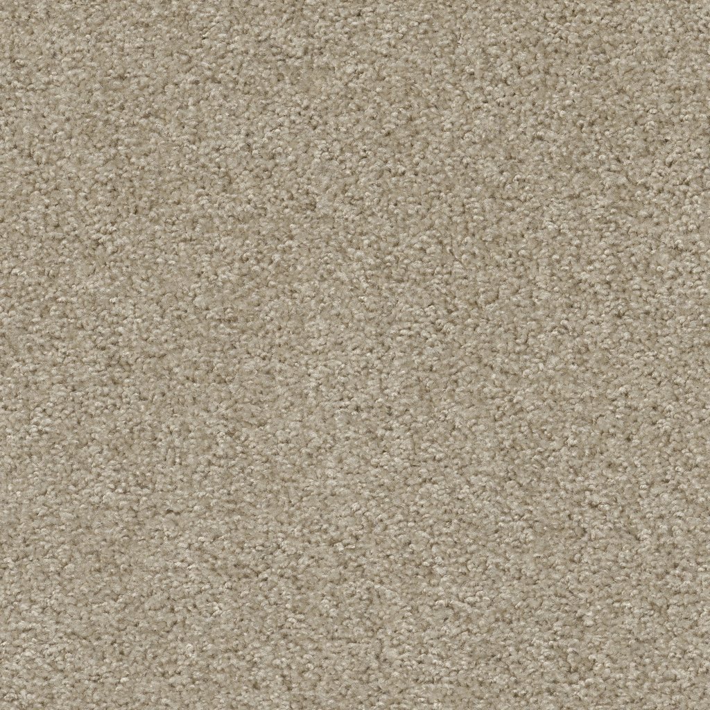 Shaw Floors Play Hard - Bliss