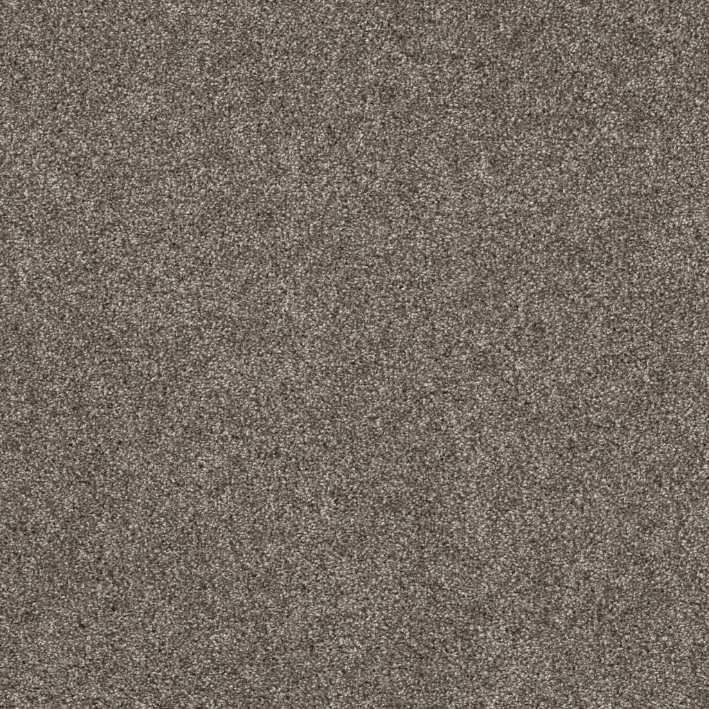 Shaw Floors Yes You Can III 15' - Ashes