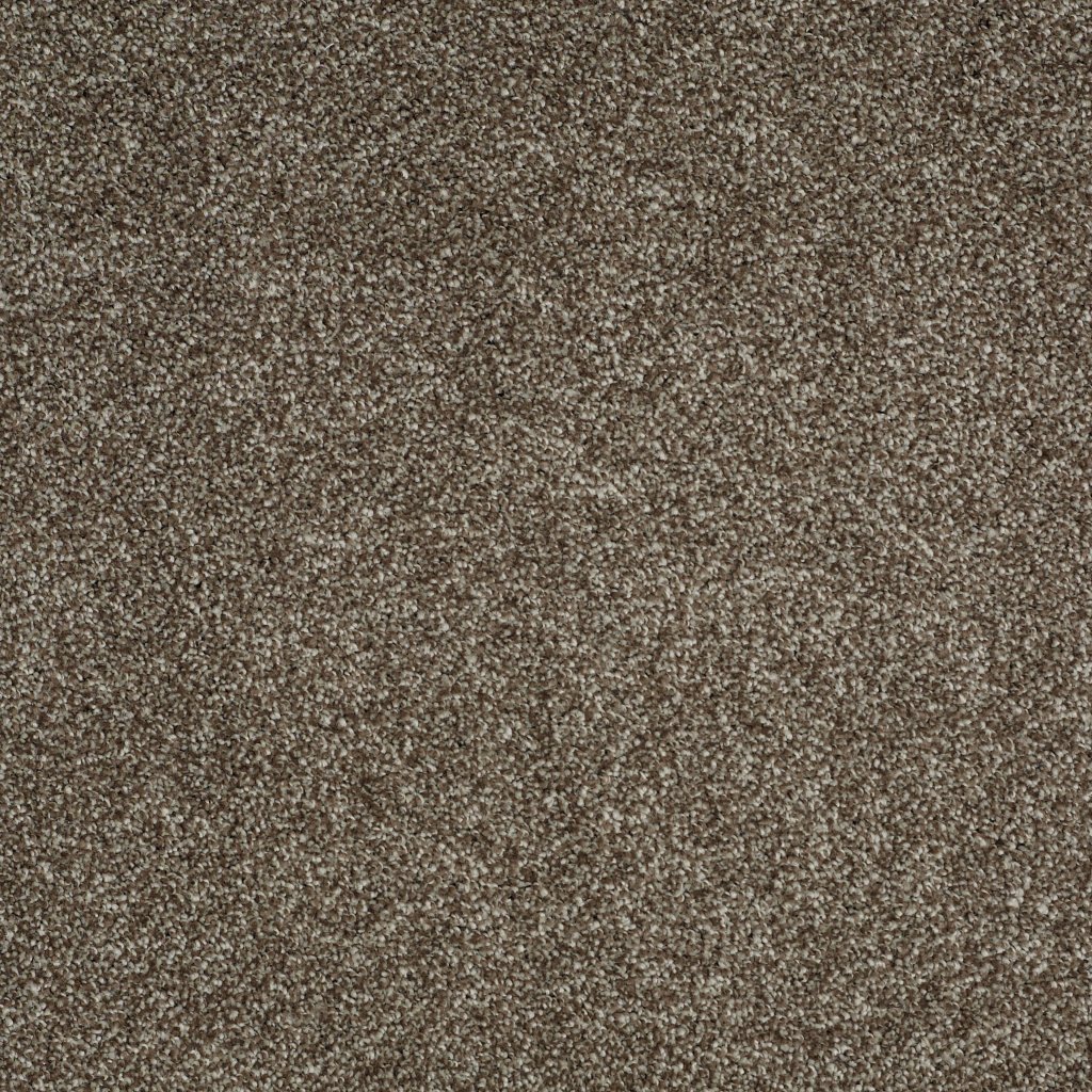 Shaw Floors Always Ready II - Cobble Brown