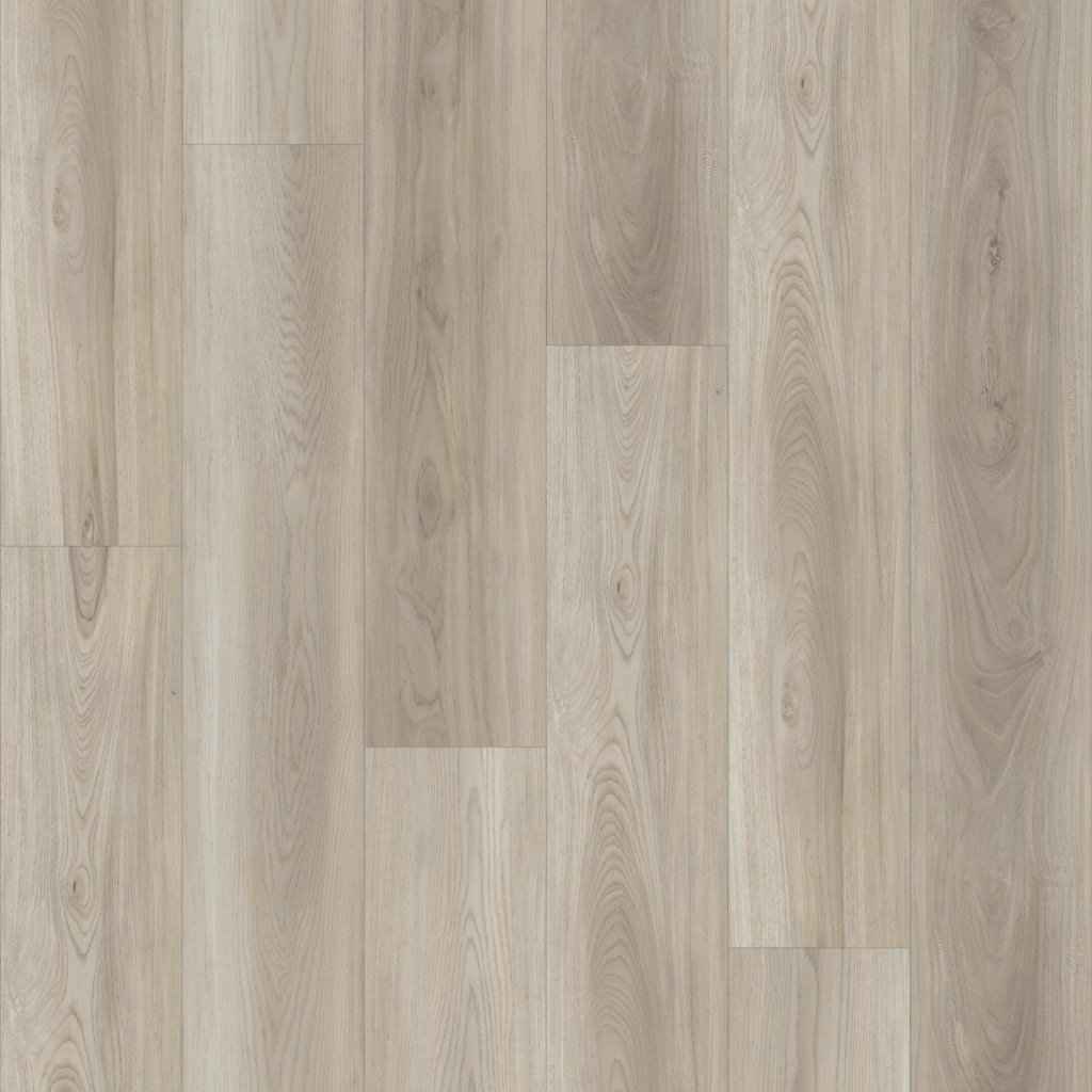 Shaw Floors Paladin Plus - Lighthouse