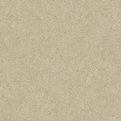Shaw Floors INSPIRATIONAL - Quiet Beige