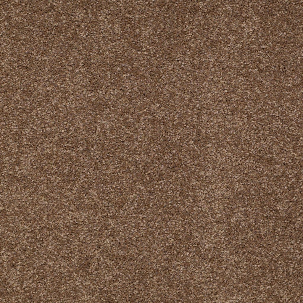 Shaw Floors Ultimate Expression 12' - Pine Cone