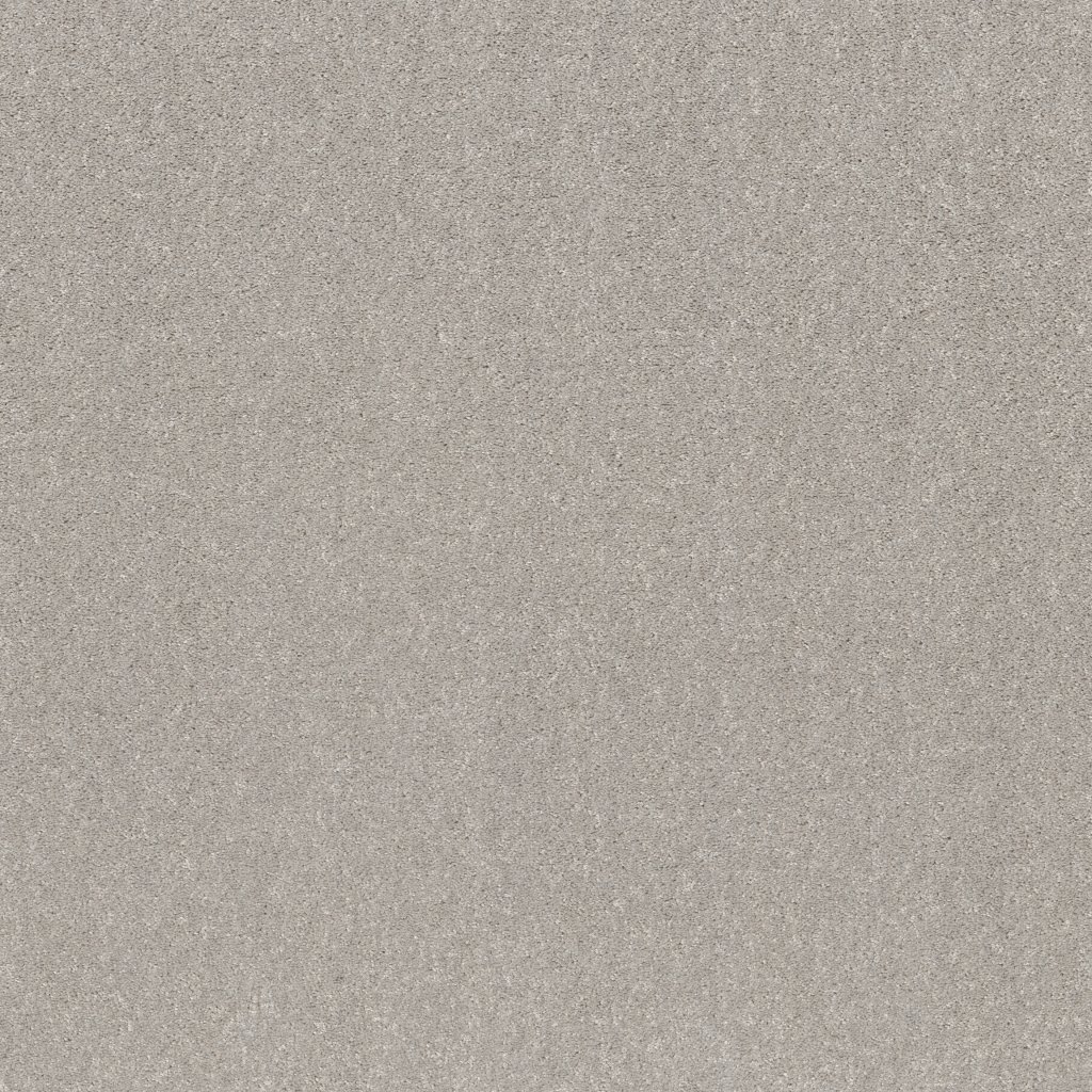 Shaw Floors Smooth Talk II - Silver Mist