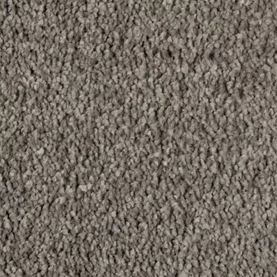 Mohawk Exquisite Beauty - Opulent Grey