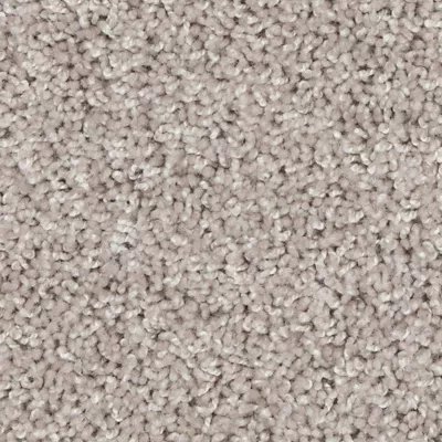 Mohawk Authentic Voice - Shimmer