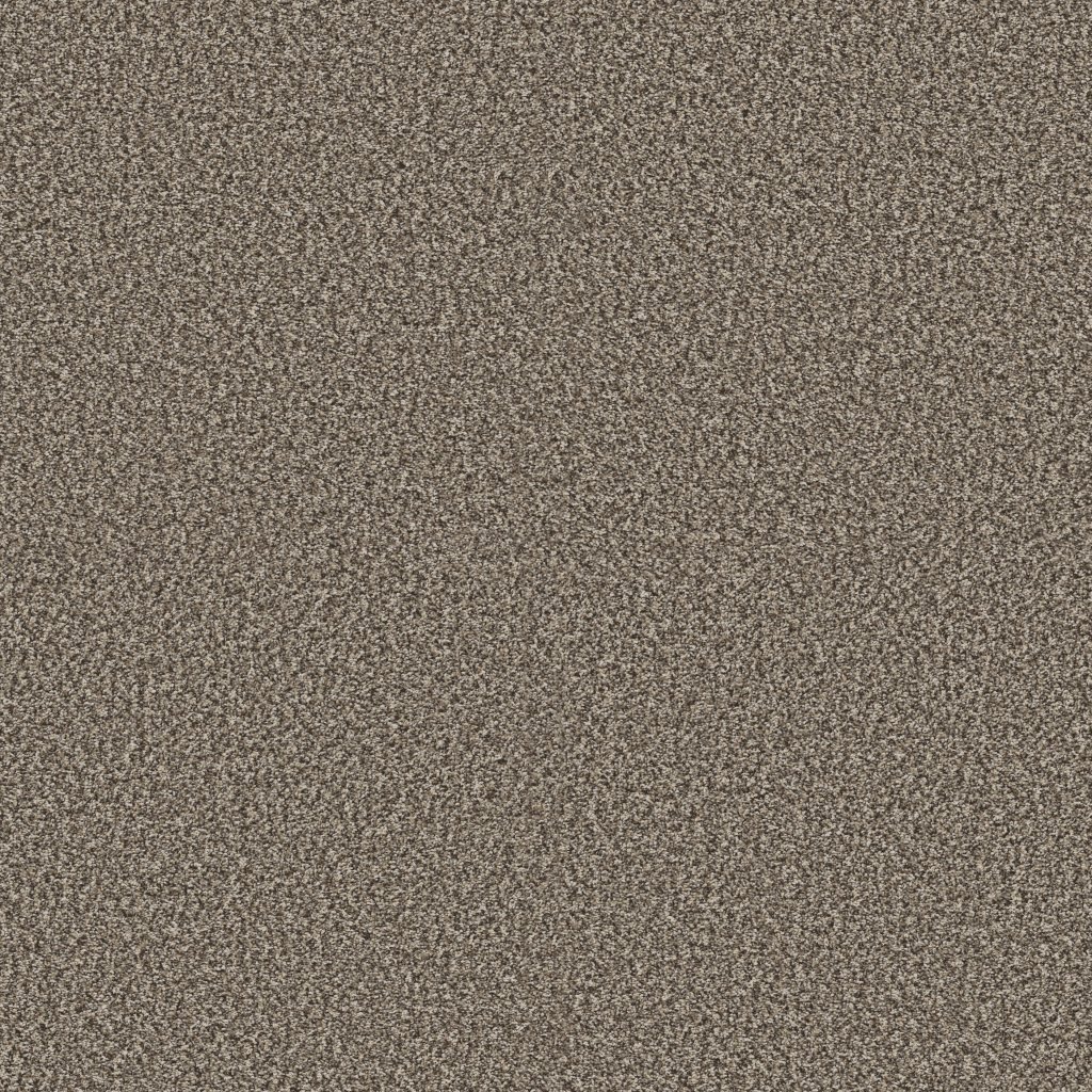 Shaw Floors Yes You Can I 12' - Soft Sense