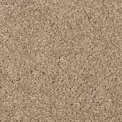 Mohawk Natural Splendor I - Brushed Suede