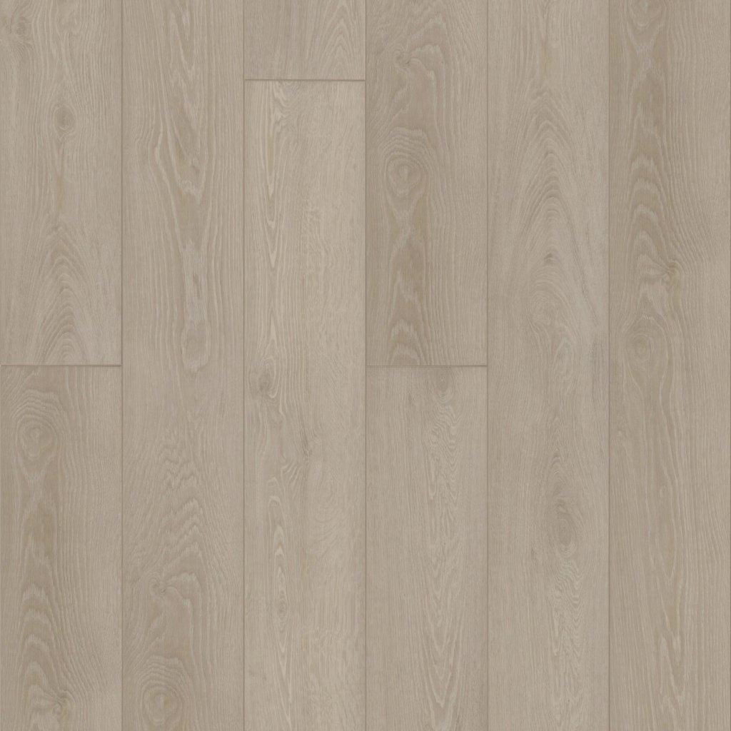 Shaw Floors Ambition - Feather Grey