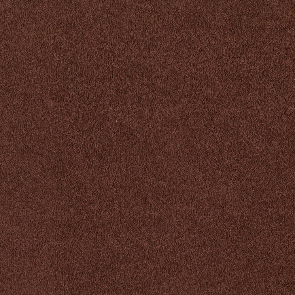 Shaw Floors Sandy Hollow I 12' - Spanish Tile