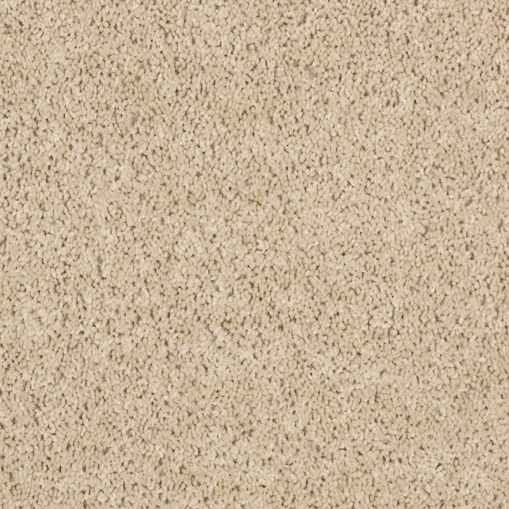 Shaw Floors Wonderous Life (S) - Cashmere