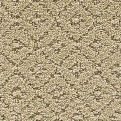 Mohawk Remarkable Elegance - Lamb'S Wool