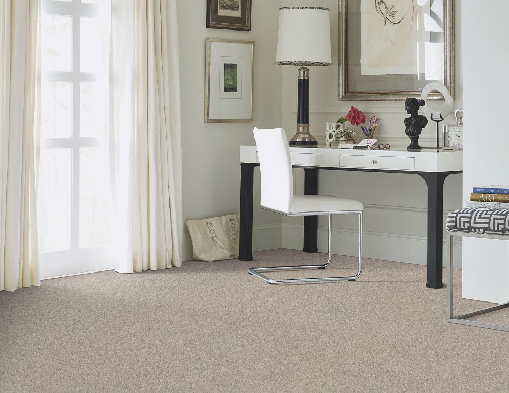 Shaw Floors Inspired By III - Textured Canvas
