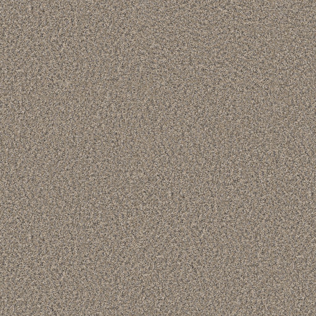 Shaw Floors Always Right I - Cork