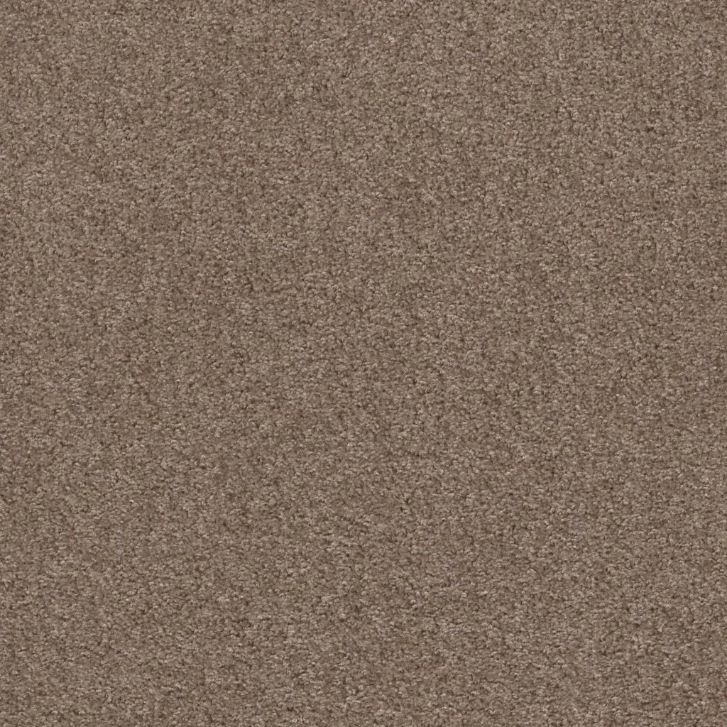 Shaw Floors Valiant - Northern Cliff