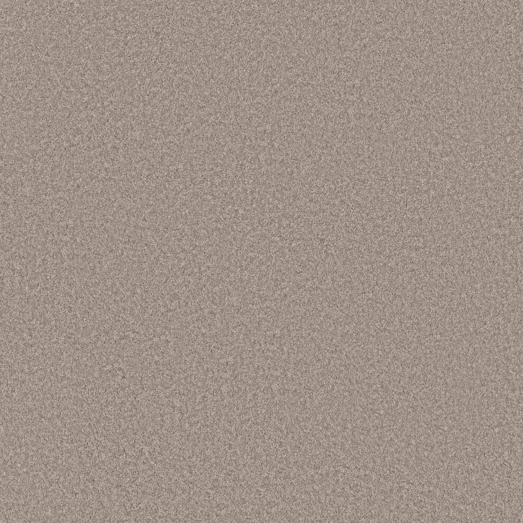 Shaw Floors Imaginable III - Misty Harbor