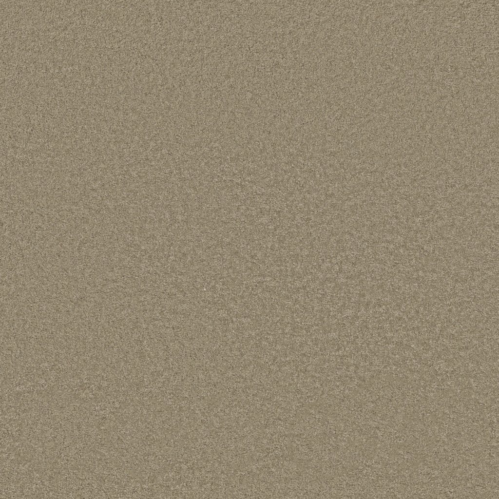 Shaw Floors Around The House III - Smooth Slate